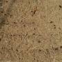 Cambodge - 