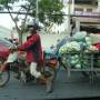 Cambodge - 