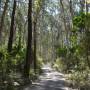 Australie - 