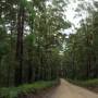 Australie - 