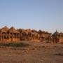 Inde - 