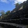 Mexique - Calakmul