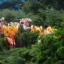 Singapour - 