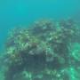 Australie - CAIRNS - Grande Barrière de Corail