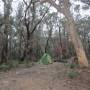 Australie - 
