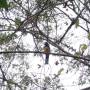 Nicaragua - 