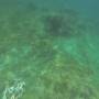 Australie - AIRLIE BEACH - Withsundays
