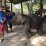 Thaïlande - 