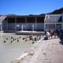 Argentine - Laguna Verde