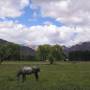 Argentine - Balade vers le Cerro Tundunqueral