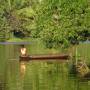 Inde - 