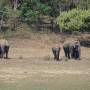 Inde - 