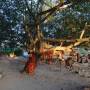Inde - 
