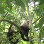 Costa Rica - 