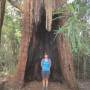 Australie - 