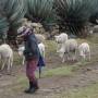 Guatemala - TODOS SANTOS