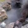 Nouvelle-Zélande - ROTORUA - parc Tehokowhitu-a-tu