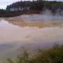 Nouvelle-Zélande - ROTUROA - parc Wai-o-tapu