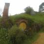 Nouvelle-Zélande - MATAMATA - Hobbiton