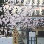 Japon - 
