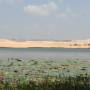 Viêt Nam - les dunes blanches derrière le lac