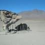 Bolivie - El arbol de piedra