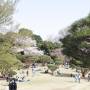 Japon - 