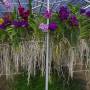Thaïlande - 