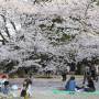 Japon - 