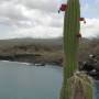 Équateur - San Cristobal - Galapagos