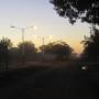 Argentine - 