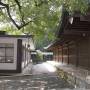 Japon - 