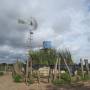 Argentine - 