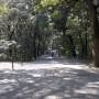 Japon - 