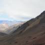 Argentine - 