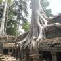 Cambodge - 