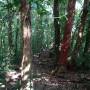 Costa Rica - Monte Verde
