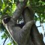Costa Rica - Manuel Antonio