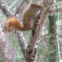 Canada - Sleeping Giants Provincial Park