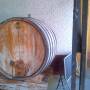 Argentine - MENDOZA - visite des bodegas