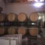 Argentine - MENDOZA - visite des bodegas