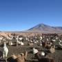 Bolivie - 