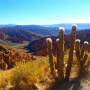 Bolivie - 