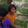 Birmanie - 