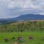 Laos - Plaines des Jarres