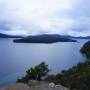 Argentine - Mirador, bosque de Arrayanes