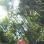 Philippines - 