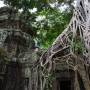 Cambodge - Ta Prohm - Tomb Raider Temple