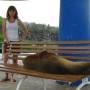 Thaïlande - 