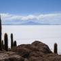 Bolivie - ile INTI en plein milieu du salar - incroyable